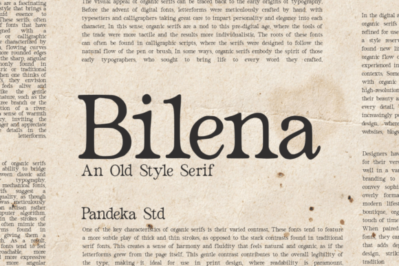 Bilena: A Timeless Serif Font for Elegant Branding