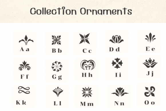 Collection Ornaments: Elevate Your Campaign Typography